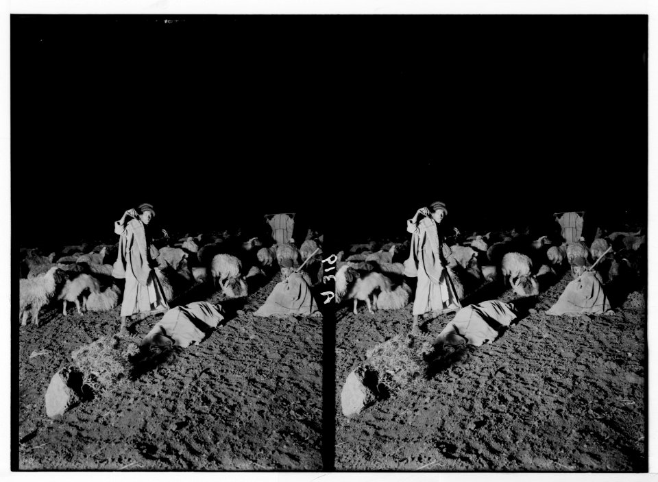 Costumes, characters, etc. 'Watching flocks by night' LOC matpc.05259