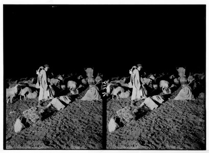 Costumes, characters, etc. 'Watching flocks by night' LOC matpc.05259