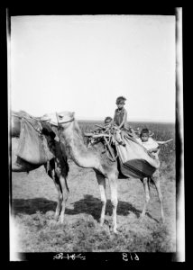 Costumes, characters, etc. Bedouin children on camel LOC matpc.15115 photo