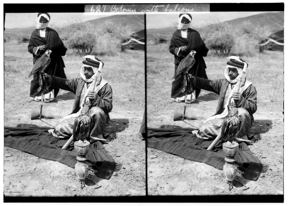 Costumes, characters, etc. Bedouin with falcons for hunting LOC matpc.01318