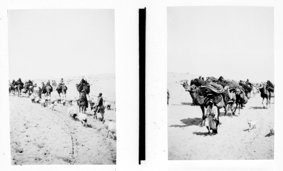 Costumes, characters, etc. Bedouin caravan moving ; Bedouin caravan approaching LOC matpc.01306