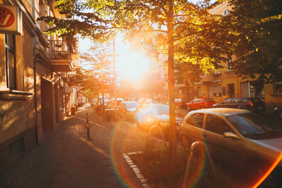 Sunlight sunshine sunrise