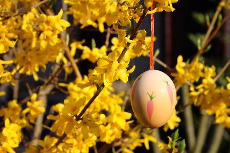 Easter easter egg garden