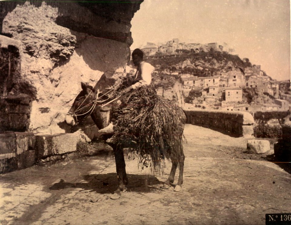 Crupi, Giovanni (1849-1925) - n. 0136 - Uomo su asino - cm 20x25