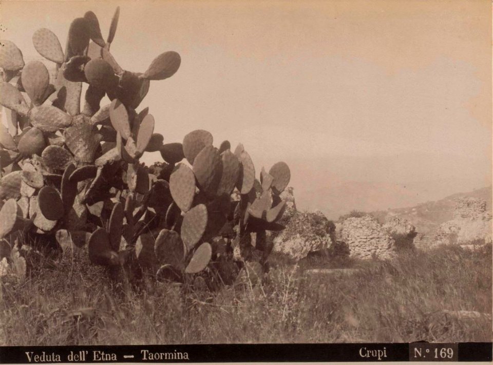 Crupi, Giovanni (1849-1925) - n. 0169 - Veduta dell'Etna - Taormina