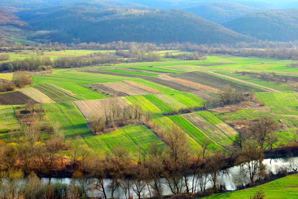 Agriculture nature grass