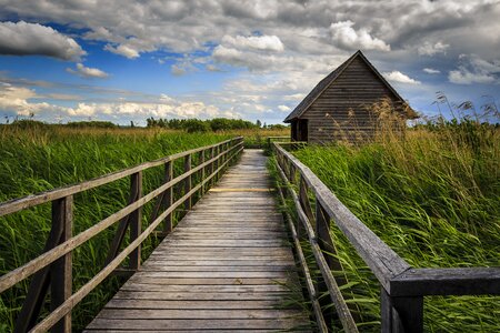 Moorland nature conservation summer
