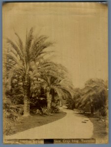 Crupi, Giovanni (1849-1925) - n. 0307 - Palermo - Giardino inglese