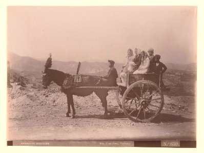 Crupi, Giovanni (1849-1925) - n. 0630 - Carretto siciliano - Ackland art museum