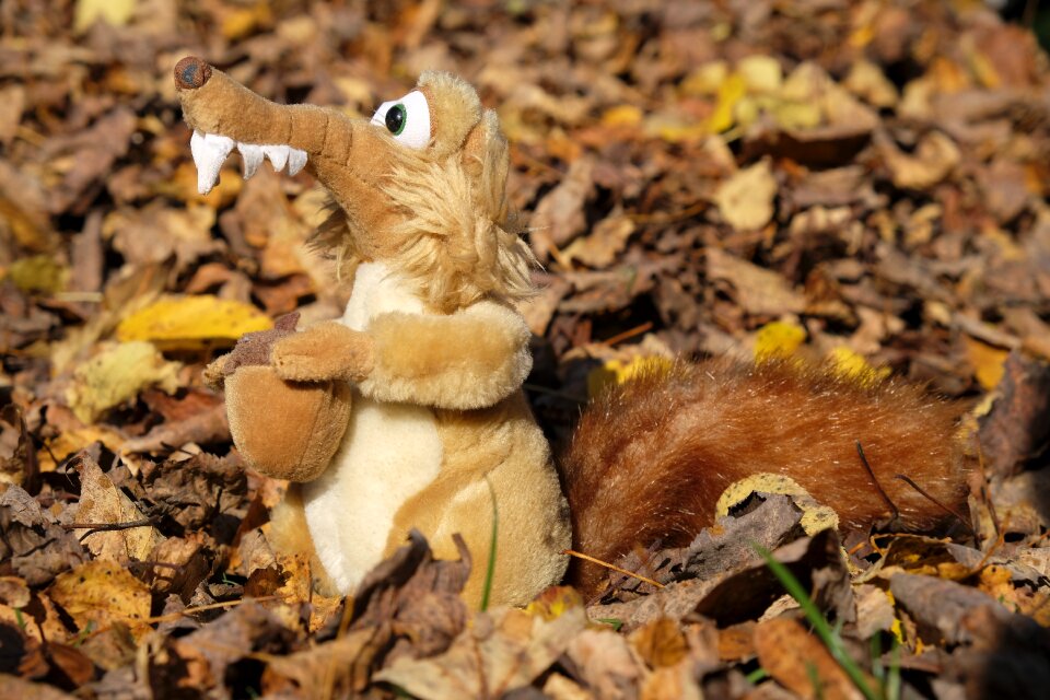 Squirrel scrat scrattie