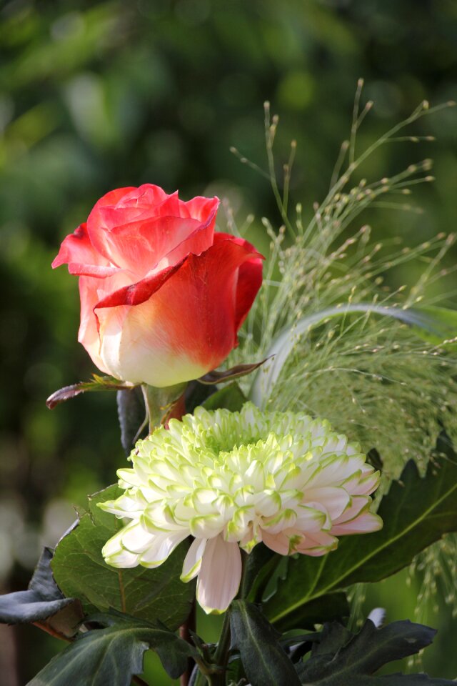 Bouquet flower arrangement greeting