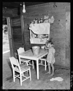 Daughter of Andrew Dutton, miner, living in company housing project. Consolidated Coal Company, Bankhead Mine... - NARA - 540636