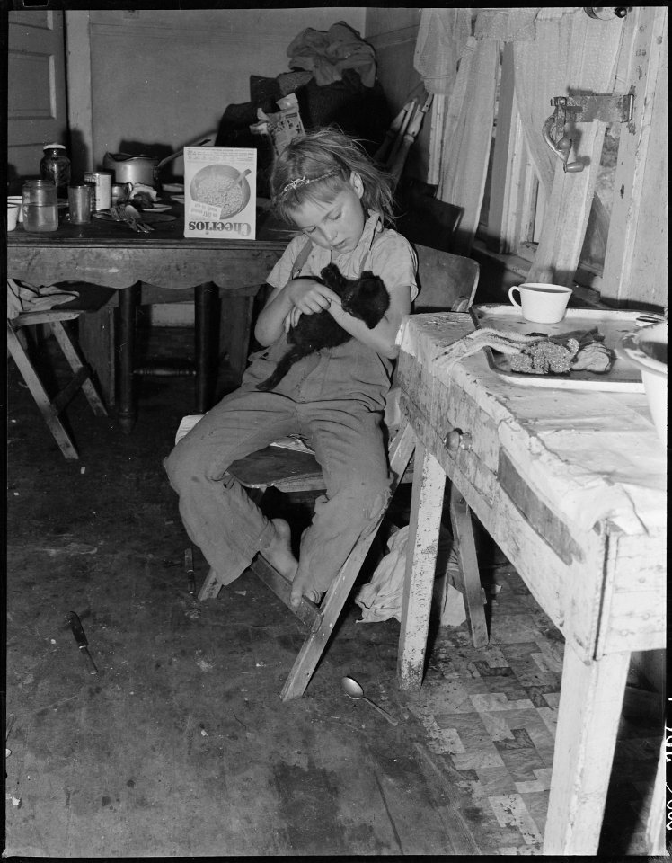 Daughter of Charles B. Lewis, miner, holding her kitten. She is sitting in kitchen of her home in company housing... - NARA - 540563