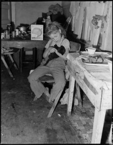 Daughter of Charles B. Lewis, miner, holding her kitten. She is sitting in kitchen of her home in company housing... - NARA - 540563 photo