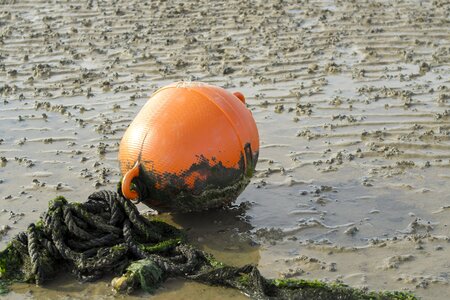 Beach ebb north sea photo