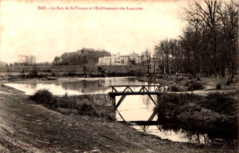 Dax (Landes) - Bois de Boulogne 5