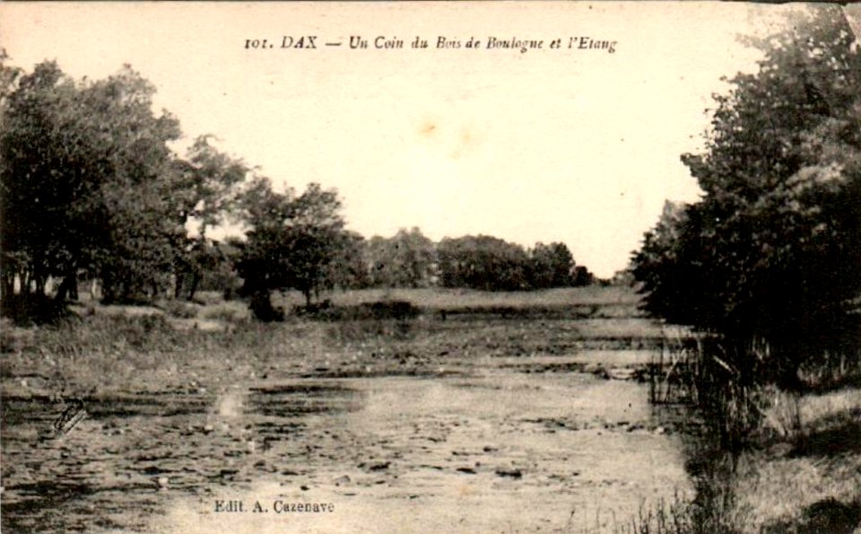 Dax (Landes) - Bois de Boulogne 8