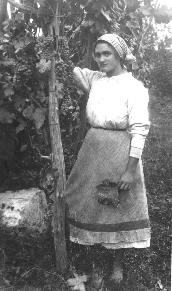 Delovna noša 20. stoletja