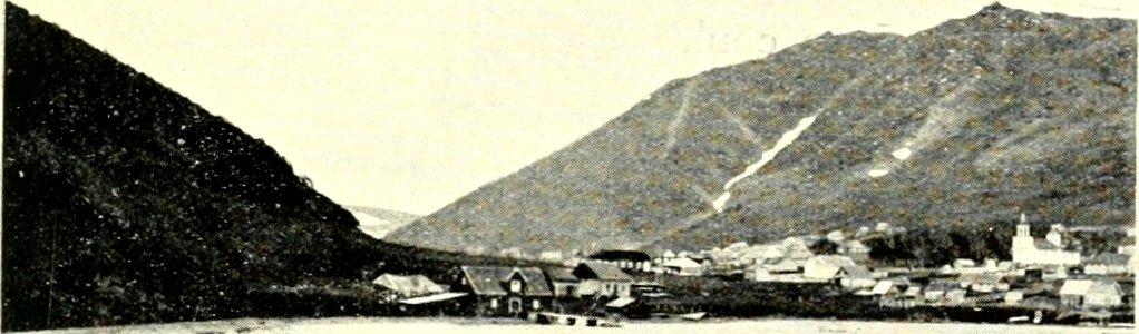 DEMIDOV(1904) p130 SOUTH PART OF PETROPAVLOVSK VILLAGE (14782482625)
