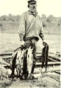 DEMIDOV(1904) p185 A NATIVE FISHERMAN (14780135894) photo