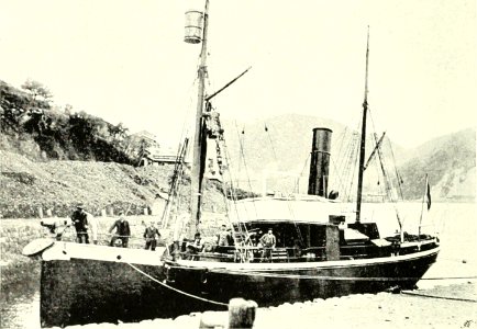DEMIDOV(1904) p105 A WHALER (14802329353)