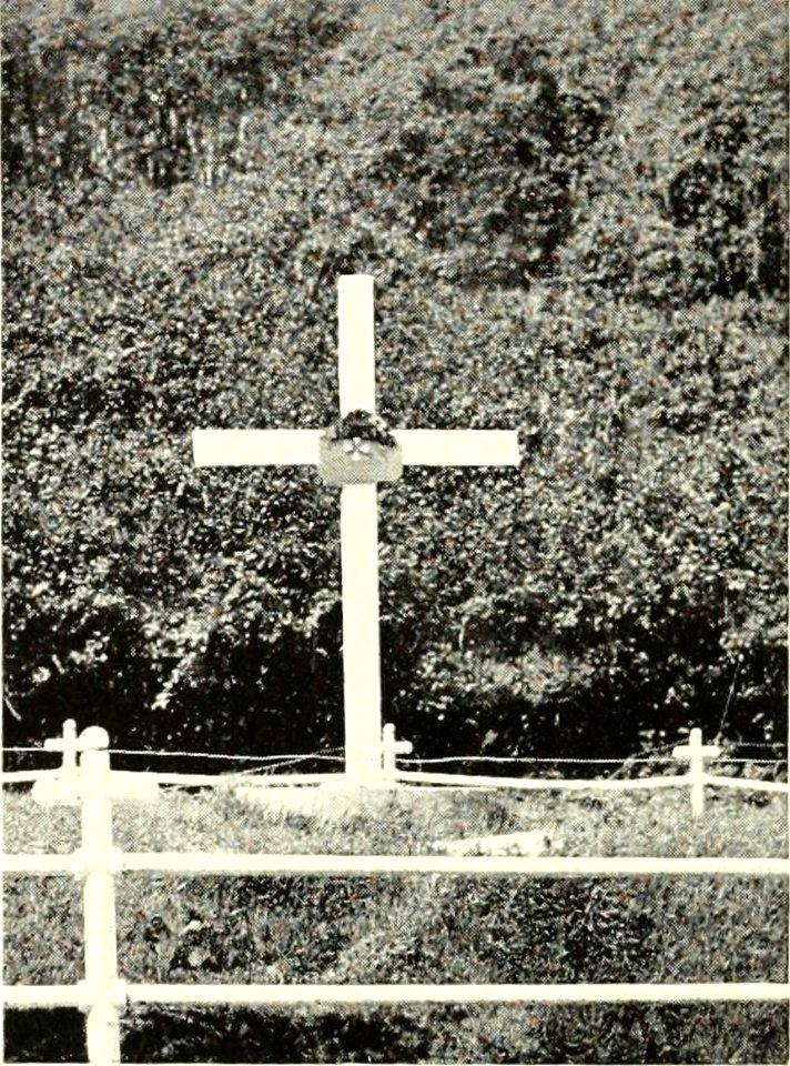 DEMIDOV(1904) p119 CROSS ON THE GRAVE OF RUSSIANS KILLED IN ACTION, AUGUST, 1854 (14595832858)