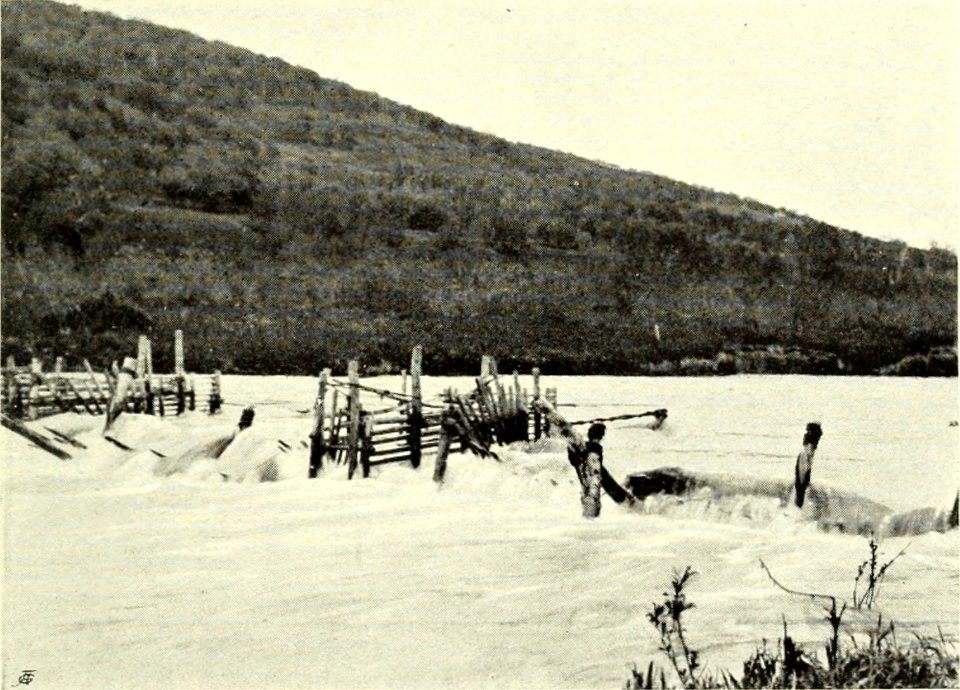 DEMIDOV(1904) p182 A SALMON TRAP ON THE DOLSHERETSK RIVER - NATCHIKI (14780133404)