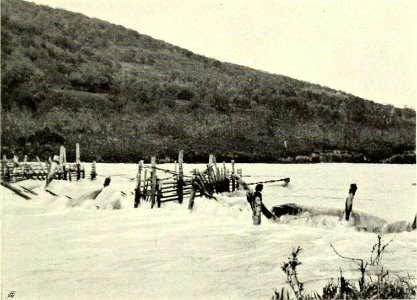 DEMIDOV(1904) p182 A SALMON TRAP ON THE DOLSHERETSK RIVER - NATCHIKI (14780133404) photo