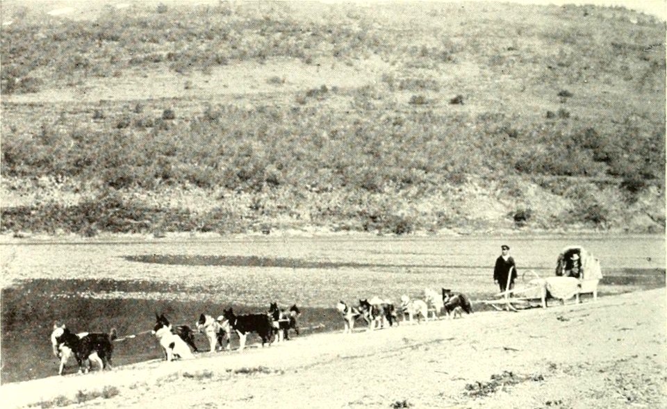 DEMIDOV(1904) p153 THE ISPRAVNIK'S TEAM OF SLEDGE-DOGS (14595839618)