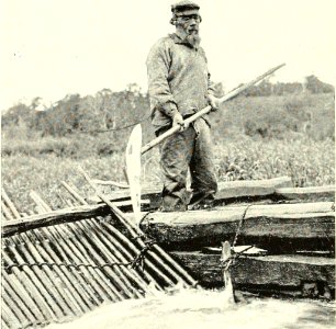DEMIDOV(1904) p299 REMOVING SALMON FROM TRAP - KLUCHI (14595817910)