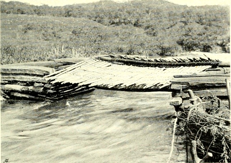 DEMIDOV(1904) p296 SALMON TRAP LEFT OPEN ON SUNDAY - KULCHI (14780168964)