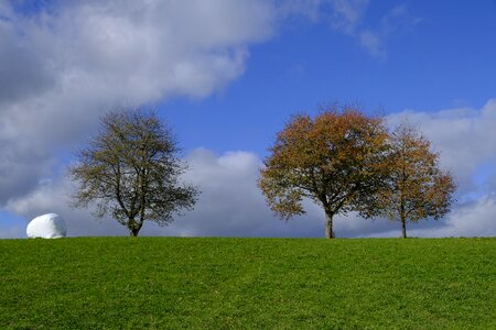 Mood fall color landscape