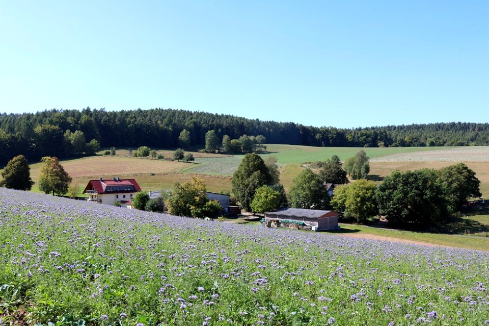 Giesel; Lindenhof (links) HermesHof (rechts) k