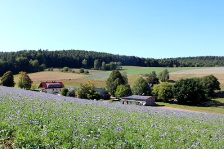 Giesel; Lindenhof (links) HermesHof (rechts) k