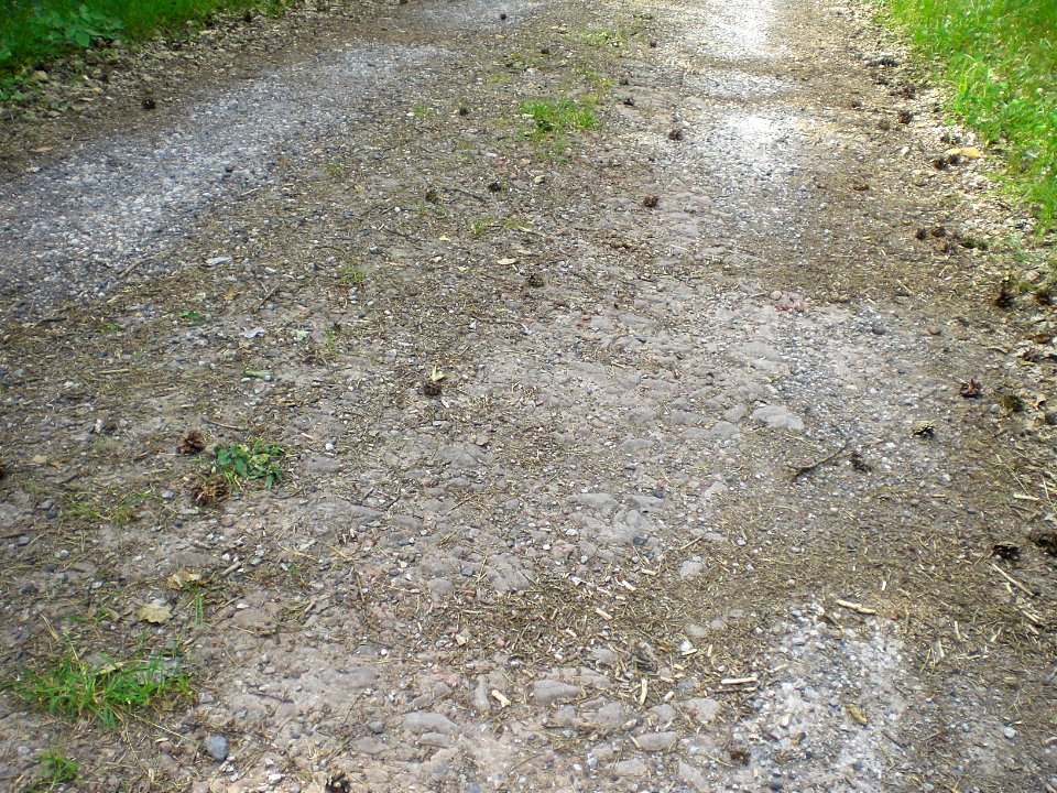 Giesel; Der alte Ortesweg bei der Herrgottseiche - Querung der Ansantvia
