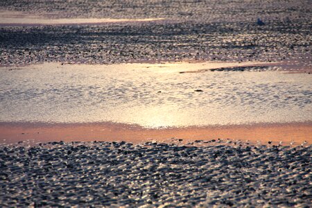 Nature nordfriesland afterglow photo