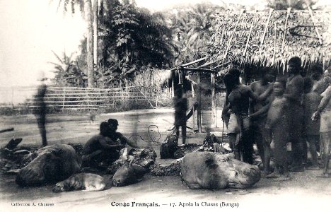 Après la chasse (Bonga)-Congo Français photo