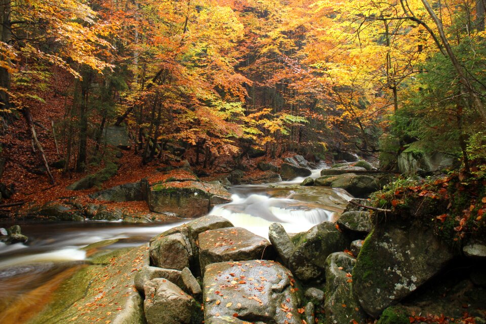The giant mountains stones czech republic