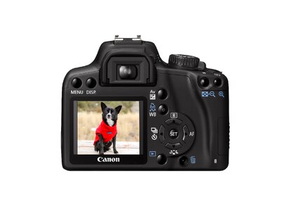 Image exposure posing