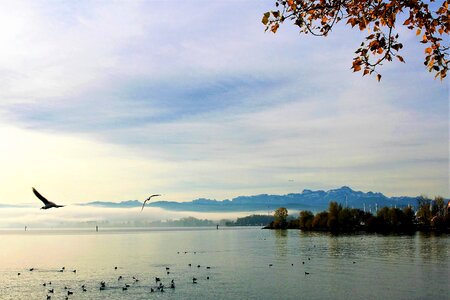 Monolithic part of the waters nature sky photo