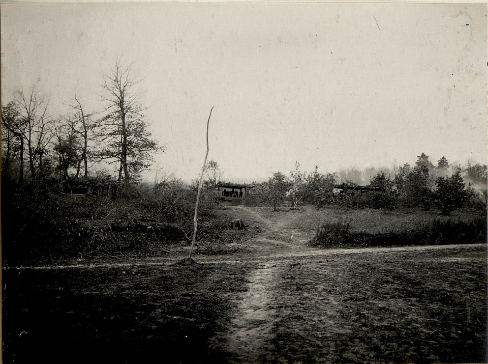 Batterie 2 des FKR.Nro.29 in einer gut maskierten Stellung südwestlich MALIN. Aufgenommen am 19. November 1915. (BildID 15540741)