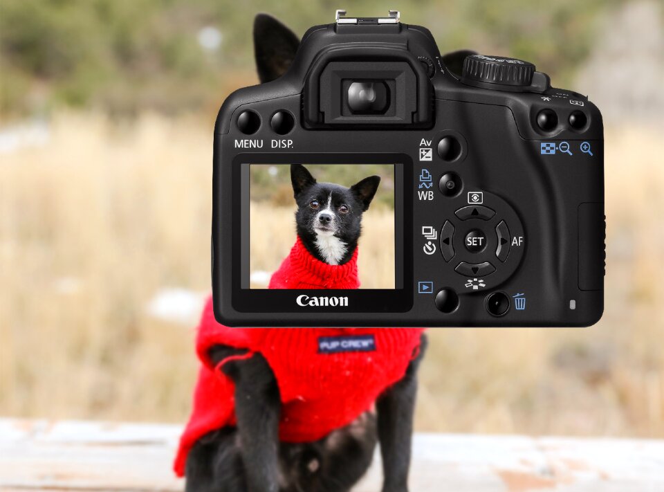 Image exposure picture