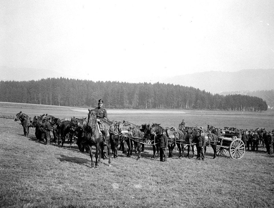 Batterie 41, Protzen in Deckung - CH-BAR - 3236344