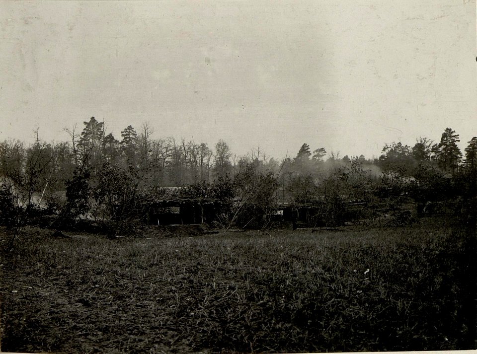 Batterie 1 des FKR.Nro.29 in gut maskierter Stellung. (BildID 15540748)