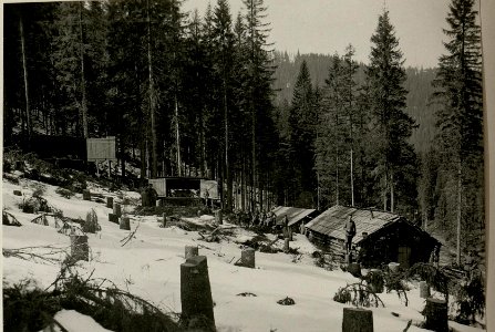 Batterie Königsberg (Gesamtansicht) (BildID 15717558)