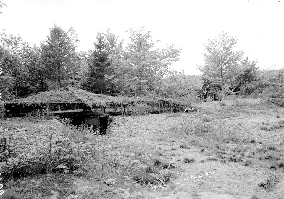 Batterie Toferenwald, Geschützstand 1 mit Tarnung - CH-BAR - 3238615