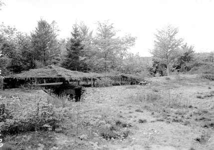 Batterie Toferenwald, Geschützstand 1 mit Tarnung - CH-BAR - 3238615