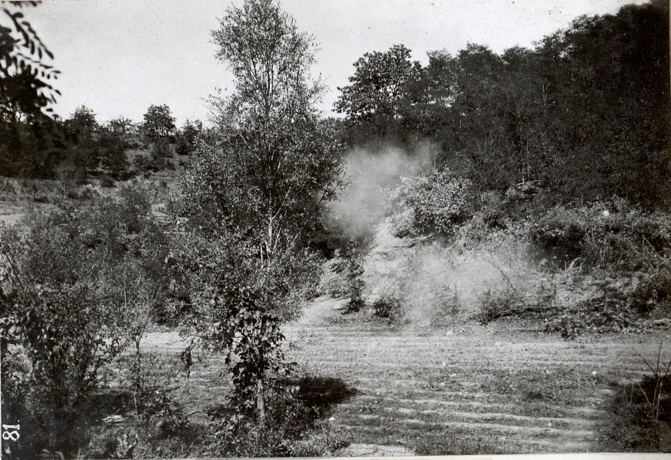 Batteriefeuer bei Bukovica. (BildID 15602445)