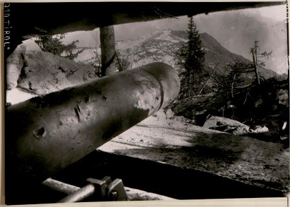 Batterie Corte am Cherz im Cherzwalde, Schussrichtung Monte Sief - Col di Lana. (BildID 15730780)