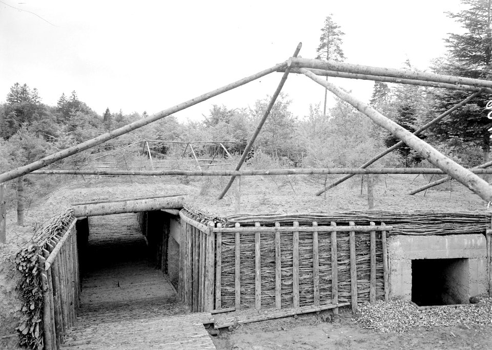 Batterie Toferenwald, Geschützstände 3 + 4 - CH-BAR - 3238616